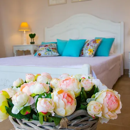 Kochilaki Ideales 莫斯塔