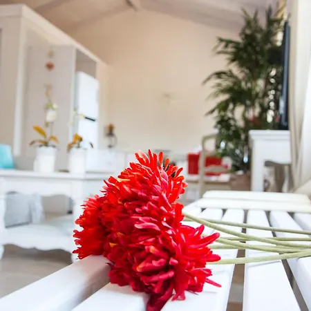 Kochilaki Ideales Vila *